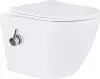 Унитаз Roxen Antares 530185-01X icon