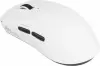 Игровая мышь Royal Kludge M3 Panda (белый) icon 3