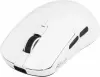 Игровая мышь Royal Kludge M3 Panda (белый) icon 5