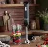 Погружной блендер Russell Hobbs 24702-56 icon 2