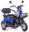 Электротрицикл Rutrike Бумеранг (синий) icon