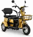 Электротрицикл Rutrike Бумеранг (золотистый) icon