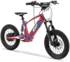 Электровелосипед RXF AMOTO EVO 16 icon