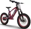 Электровелосипед RXF AMOTO EVO Racing 18 icon