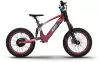 Электровелосипед RXF AMOTO EVO Racing 18 фото 2