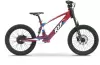 Электровелосипед RXF AMOTO EVO Racing 20 фото 2