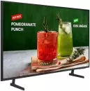 Информационная панель Samsung BE50D-H LH50BEDHLGUXCI фото 5