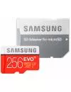 Карта памяти Samsung Evo + microSDXC 256Gb (MB-MC256DA/RU) icon