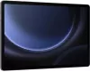 Планшет Samsung Galaxy Tab S9 FE+ 5G SM-X616 12GB/256GB (графит) фото 4