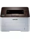 Лазерный принтер Samsung SL-M2830DW фото 2
