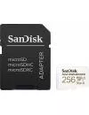 Карта памяти SanDisk microSDXC 256GB (SDSQQVR-256G-GN6IA) icon