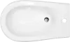 Биде Sanita Самарское SMRSABI01 icon 2
