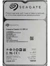 Жесткий диск Seagate Enterprise Capacity (ST10000NM0016) 10000Gb icon