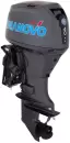 Лодочный мотор Seanovo SNEF 40 FEL-T EFI icon 2