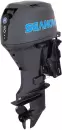 Лодочный мотор Seanovo SNEF 40 FEL-T EFI icon 4