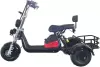 Электроскутер Shtenli Model 104 mini Li-ion 48/12 250w icon