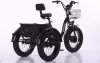 Электровелосипед Shtenli Trike PRO li-on 48/10.4 фото 2