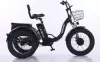 Электровелосипед Shtenli Trike PRO li-on 48/10.4 фото 5