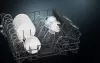 Посудомоечная машина Siemens SN63HX16VE icon 6