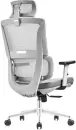 Офисное кресло Situp Aphrodite A Grey Chrome (сетка Grey / Grey) icon 2