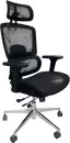 Офисное кресло SitUp Garfild Lux Chrome (сетка Black/сетка Black) icon