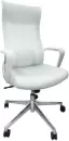 Офисное кресло SitUp Record White Chrome (Light Grey) icon