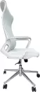 Офисное кресло SitUp Record White Chrome (Light Grey) icon 3