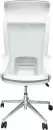 Офисное кресло SitUp Record White Chrome (Light Grey) icon 4