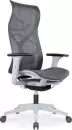Кресло офисное SitZone CH-283A-HS-P1 (серый/белый) icon
