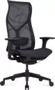 Кресло офисное SitZone CH-283A-P1 (черный) icon