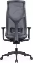 Кресло офисное SitZone CH-283A-P1 (черный) icon 2