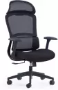 Компьютерное кресло SitZone CH-555A (сетка, ткань, пластик, черный) icon