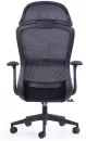Компьютерное кресло SitZone CH-555A (сетка, ткань, пластик, черный) icon 4