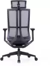 Офисное кресло SitZone E-303-001A-P1-BK (сетка, черный) icon 2