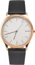 Наручные часы Skagen SKW1102 icon