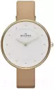Наручные часы Skagen SKW2137 icon