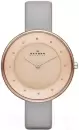 Наручные часы Skagen SKW2139 icon