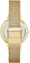 Наручные часы Skagen SKW2150 icon 2