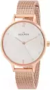 Наручные часы Skagen SKW2151 icon 2