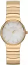 Наручные часы Skagen SKW2199 icon