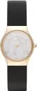 Наручные часы Skagen SKW2209 icon