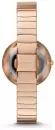 Наручные часы Skagen SKW2227 icon 3