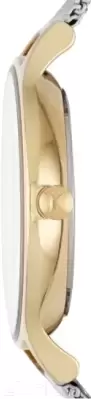 Наручные часы Skagen SKW2340 icon 2