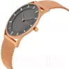 Наручные часы Skagen SKW2378 icon 2
