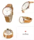 Наручные часы Skagen SKW2405 icon 3