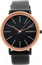 Наручные часы Skagen SKW2490 icon
