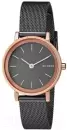 Наручные часы Skagen SKW2492 icon