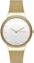 Наручные часы Skagen SKW2519 icon