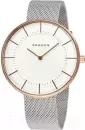 Наручные часы Skagen SKW2583 icon