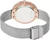 Наручные часы Skagen SKW2583 icon 2
